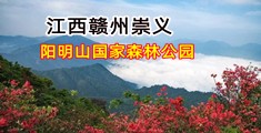 美女裸体嫩逼AV蜜穴屄入口